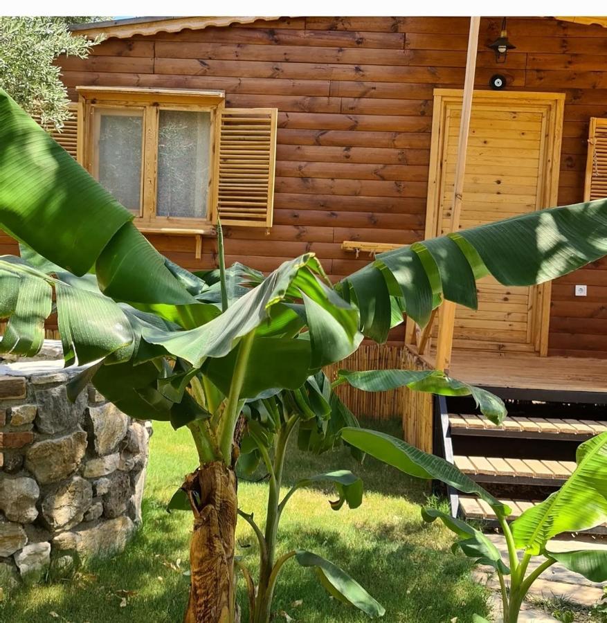 Derin Tas-Bungalow Датча Екстер'єр фото